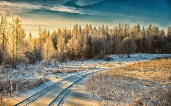 Frost und Sonne Stockbild