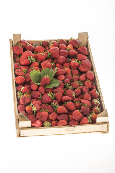 a crate of strawberries with leaf