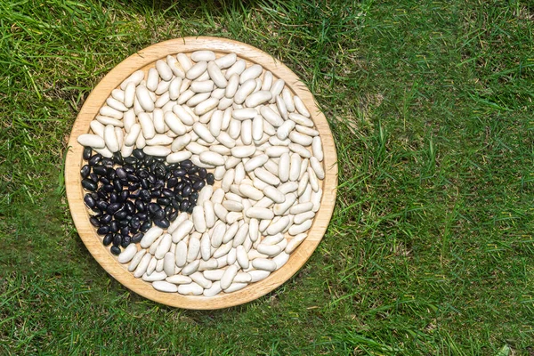 two color bean dish in grass