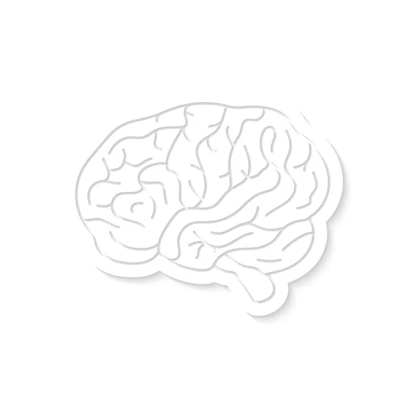 Icono del cerebro blanco con sombra — Vector de stock