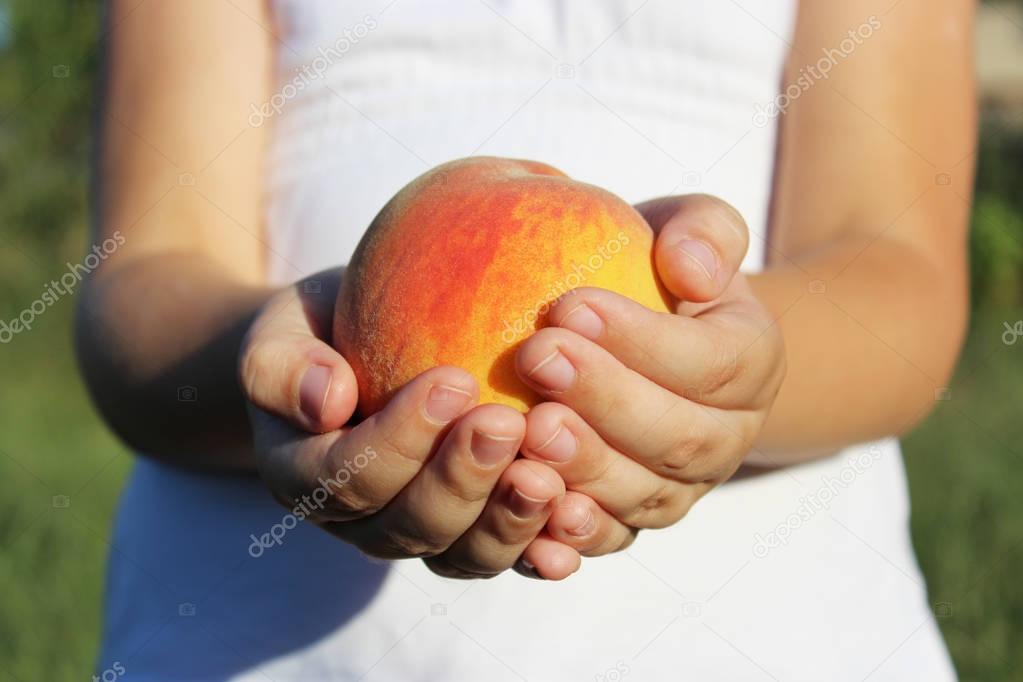 ripe peach in the palms