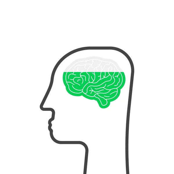 Cabeza delgada con cerebro como la educación — Vector de stock