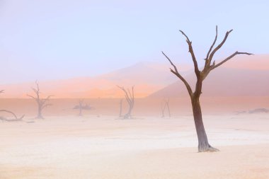 Sussussusvlei Deadvlei - Namibya