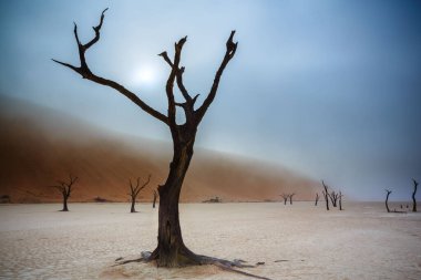 Sussussusvlei Deadvlei - Namibya