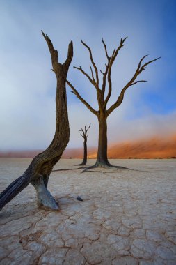 Sussussusvlei Deadvlei - Namibya