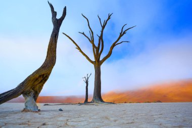 Sussussusvlei Deadvlei - Namibya