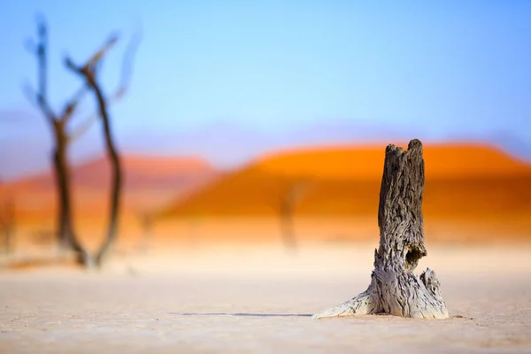 Sussusvlei Deadvlei - Namibia — Foto Stock