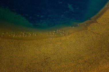 İskelet Sahili - Namibya