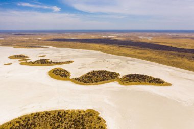 Baines baobab from Nxai Pan National Park - Botswana