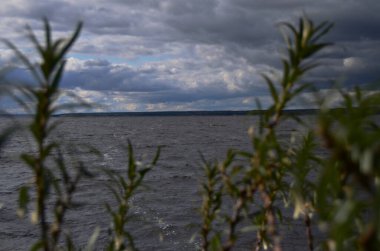 Nehir, Buckthorn 'un dallarından geçerek bulutlara karşı yatay yönelim sağlar.