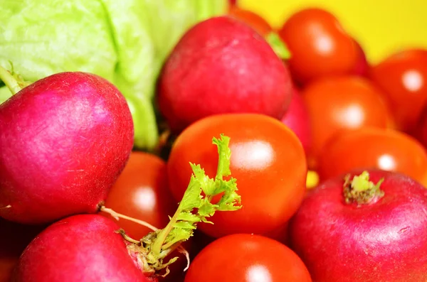 Färska tomatgrönsaker och rädisa närbild — Stockfoto