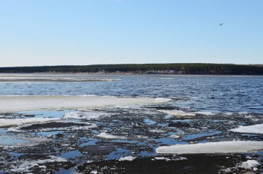 Nehir kuşunun üzerindeki bahar günü buzu holodomi gökyüzünde güneşli gün yatay yönelimde