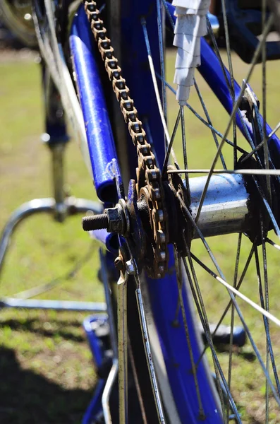 chain bike close-up summer in nature