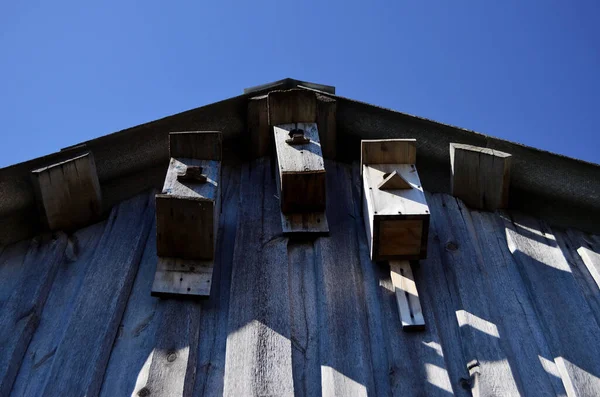 Three Birdhouses Roof House Blue Sky — Stock Photo, Image