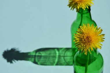 Yeşil şişede bir sarı karahindiba. Yan taraftan yakından bakınca fotokopi alanı var.