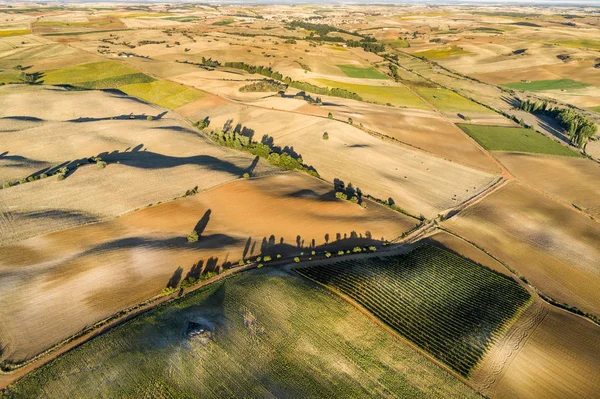 Aerial landscape of non-irrigated agriculture, with fields at sunset.