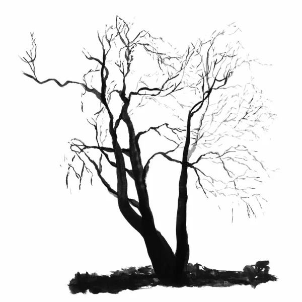 Silhouette Nera Albero Senza Foglie Disegnata Con Inchiostro Uno Sfondo — Foto Stock