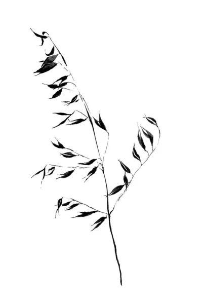 Black White Drawing Dry Field Plant Illustration Made Black Ink — Stock Photo, Image