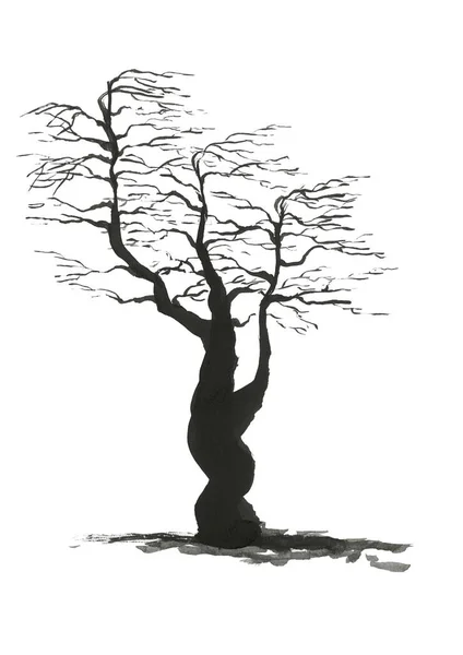 Black Silhouette Branching Tree Leaves Sketch Drawn Ink White Background — Stock Photo, Image