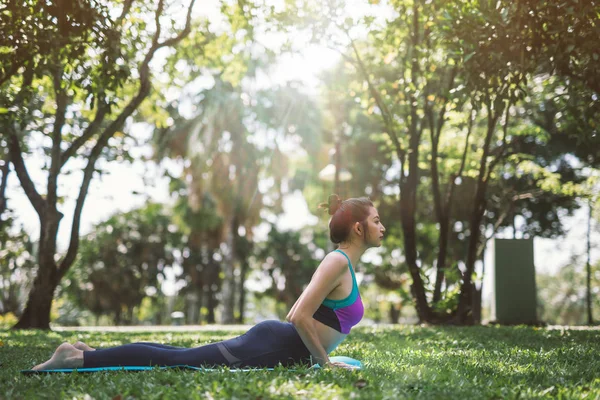 公园里的瑜伽健康运动 — 图库照片