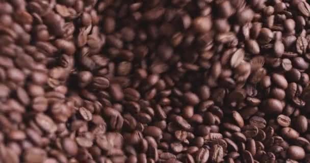 ローストコーヒー豆のフルスクリーン トップダウンビューのクローズアップ — ストック動画
