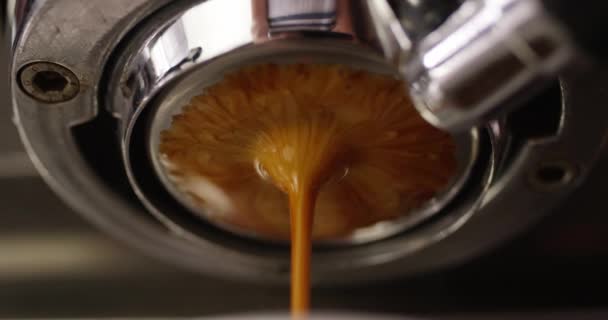 从浓缩咖啡机中倒入咖啡流 低角度特写 — 图库视频影像