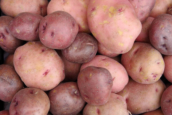 Close up full frame view of red potatoes displayed for sale at a market stand