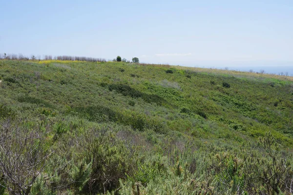Vista Panorâmica Uma Área Califórnia Reserva Natural Terras Altas Costeiras — Fotografia de Stock