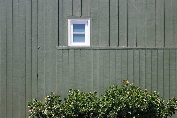 手前の茂みのある濃い緑の木のパネル状の建物の壁の大きなセクションにある小さな白い窓の眺め — ストック写真