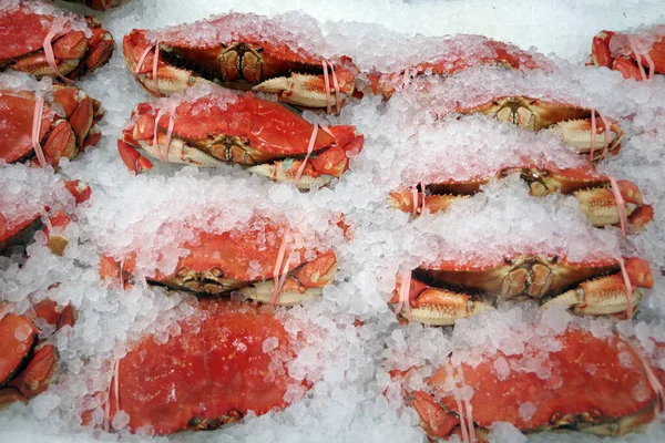 Großaufnahme Von Krabben Auf Eis Einem Marktstand — Stockfoto