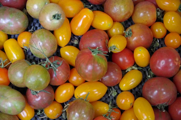 Vollbild Ansicht Frischer Mini Tomaten Einem Marktstand Aus Nächster Nähe — Stockfoto