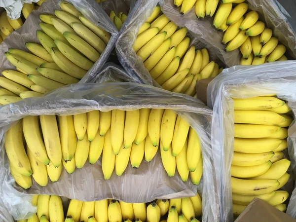 Großaufnahme Vollbild Ansicht Eines Stapels Mit Vielen Bananenbehältern Einer Schachtel — Stockfoto