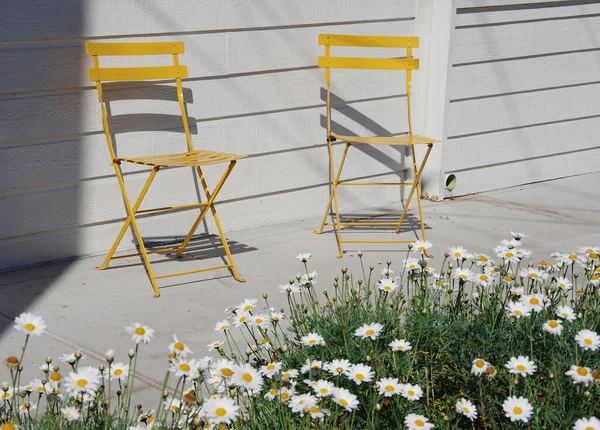 Zwei Leere Gelbe Stühle Sonnenlicht Vor Einer Hauswand — Stockfoto