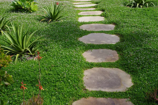 Hochwinkelblick Auf Einen Steingartenweg Durch Grüne Bodendecker Und Aloe Pflanzen — Stockfoto