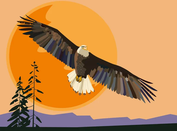 Eagle Flies Setting Sun Vector Drawing — Stock Vector