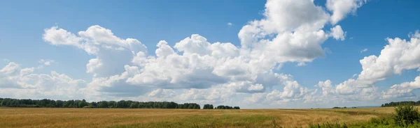 Panorama awan selama musim panas bidang — Stok Foto
