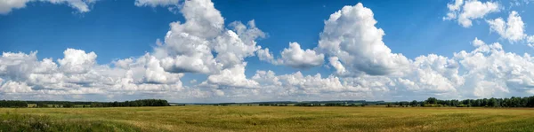 Panorama von Sommerfeld und Wolken — Stockfoto
