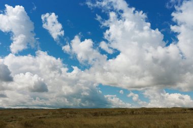 Manzara. Mavi gökyüzünde güzel bulutlar. Tuva. Bozkır. Güneşli yaz günü. Açık havada