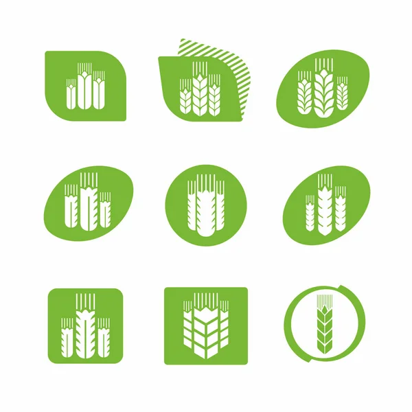 Différentes Options Pour Les Signes Épillets Pour Les Logos Graphismes — Image vectorielle