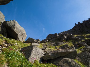Ergaki Doğa Parkı 'ndaki Mermer Geçit' in alt manzarası. Batı Sayan dağlarında güneşli bir yaz günü