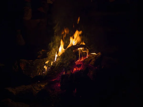 Cedar Wood Burns Fire Dark Night Tourist Camp — Stock Photo, Image