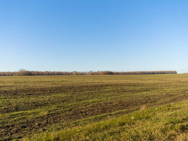 Tanah Yang Dibajak Hijau Autumn Sunny Day Ladang Sedang Mempersiapkan — Stok Foto