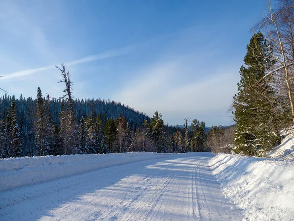 Camino Nevado Taiga Invierno Paisaje Siberiano Día Soleado Bosque Vida — Foto de Stock