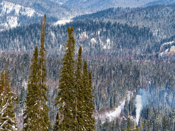 Paisaje Invernal Siberiano Vista Del Valle Enorme Taiga Coníferas Vistas — Foto de Stock