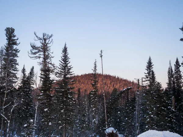 Sol Naciente Ilumina Cima Montaña Taiga Invierno Paisaje Siberiano — Foto de Stock