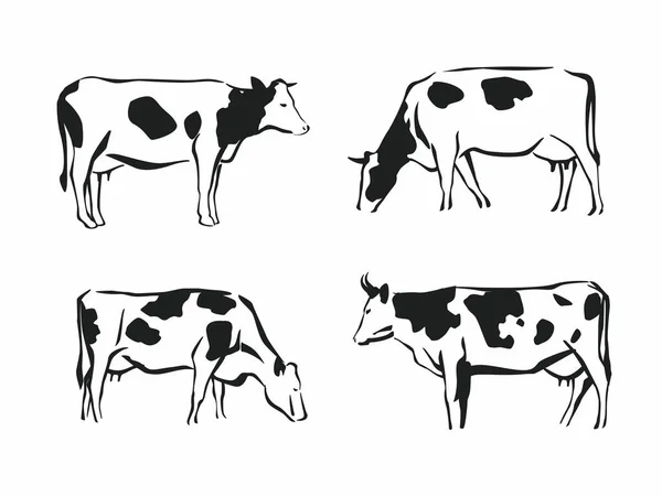 さまざまな種類の牛 手描きのグラフィック フードラベル Blanks — ストックベクタ