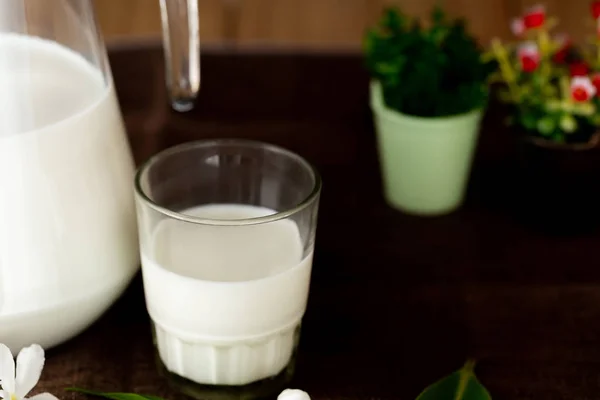 Leite produtos lácteos saudáveis em cima da mesa — Fotografia de Stock