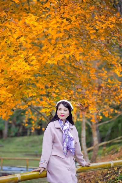 Fiatal nő gyönyörű őszi parkban, őszi koncepció. — Stock Fotó