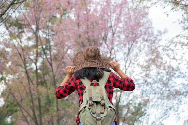 Asiatisk flicka resenär med ryggsäck innehav hatt och titta på Sakura Träd — Stockfoto