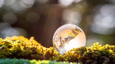 Crystal ball transparent in sunset on blurred abstract tropical 